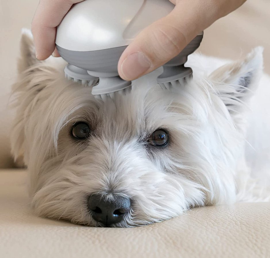 Massajador eléctrico inteligente para animais - Innovoda